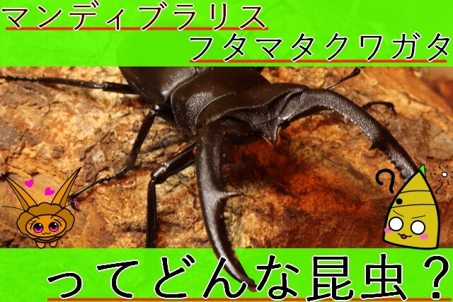 Thumbnail of post image 121